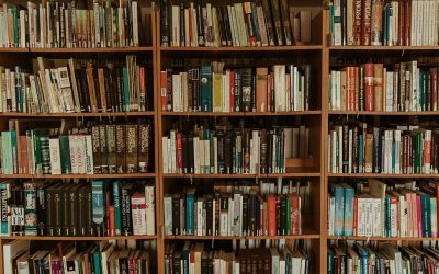 brown wooden book shelf with books